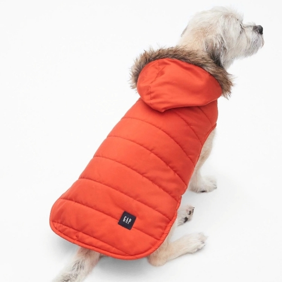 GAP Other - COPY - NWOT GAP DOG JACKET XS/S